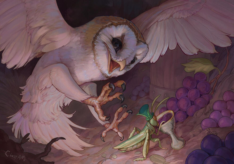 The Owl &amp; the Grasshopper